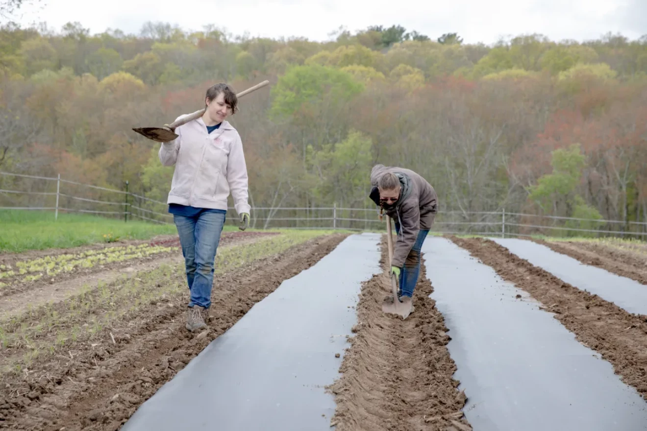 Naomi Ford, 23, and Sarah Medeiros, 24, work on the land after laying the black plastics. They are both the first generation farmers in their families. “As the National Young Farmers Coalition, we’re trying to advocate for this next generation that’s younger, that are people of color, that are women, that are LGBTQ, that are entrepreneurial, smart, hardworking individuals,” said Susan Mitchell, who hired the employees. “But it can be very difficult to break into this industry sometimes.”